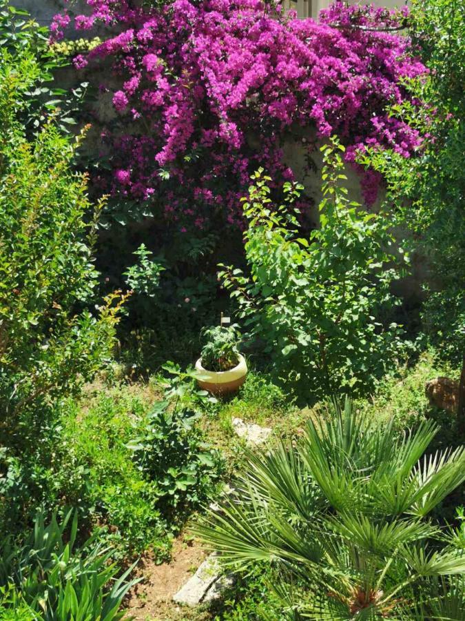 Villa Luka Dubrovnik Ngoại thất bức ảnh